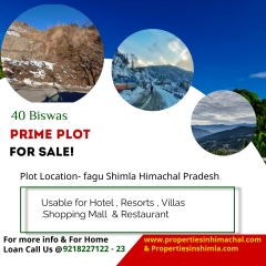 40 Biswas Plot For Sale In  Very Prime Location at fagu Shimla HP
